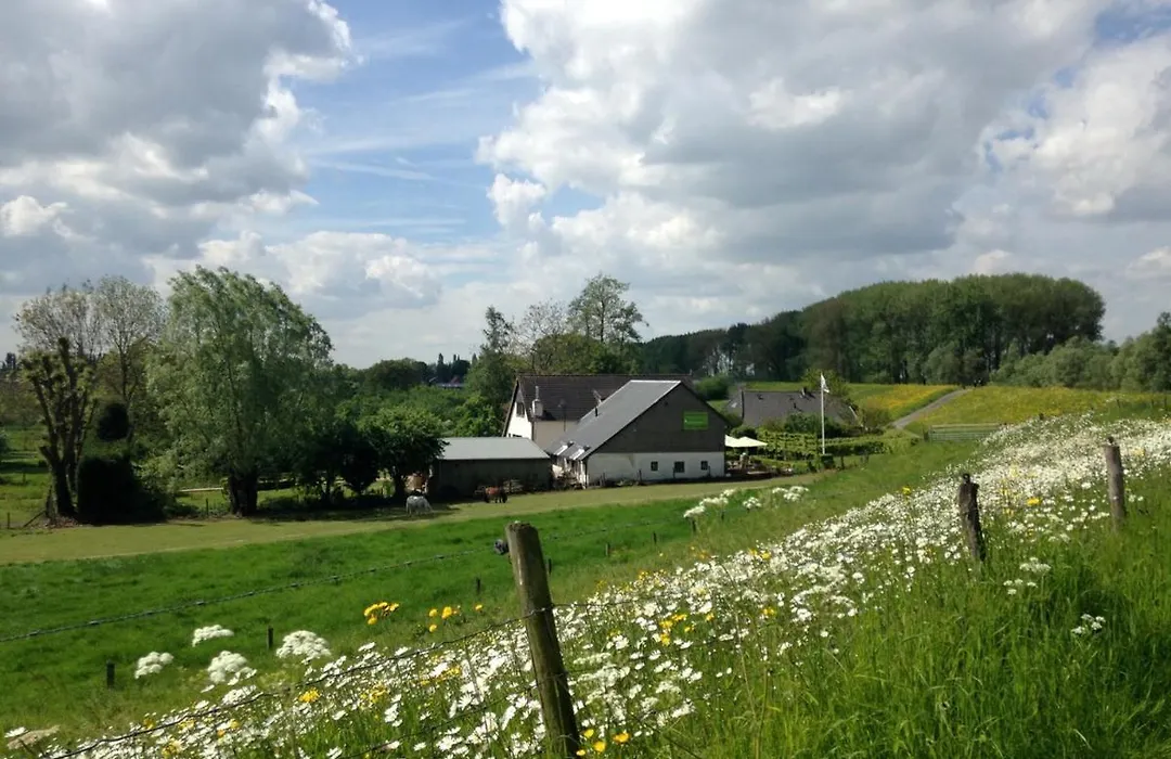Dreumelse Waard-1